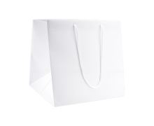 Ламинированные белые