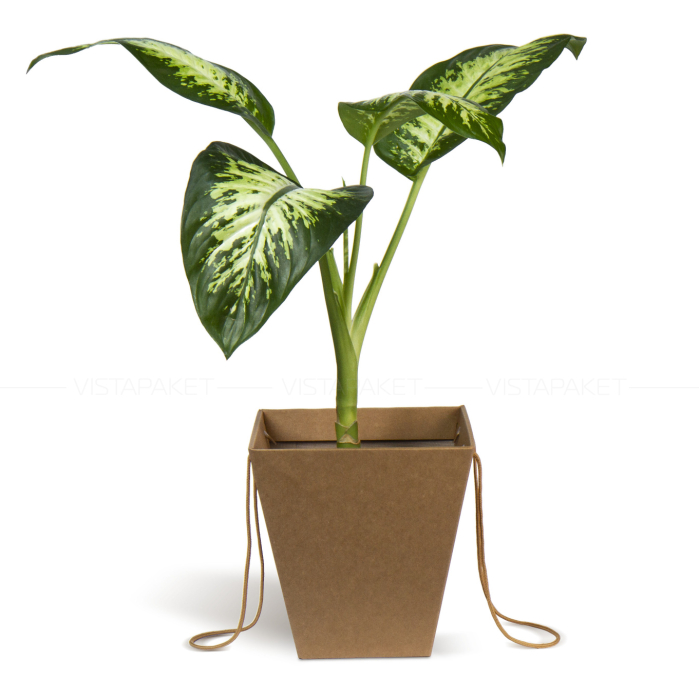 Коробка для квітів крафтова