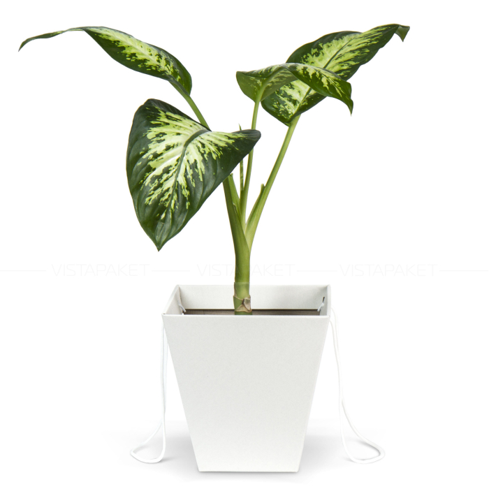 Коробка для квітів біла