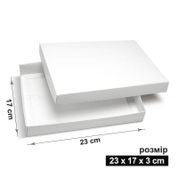 Коробка 23х17х3 см белая