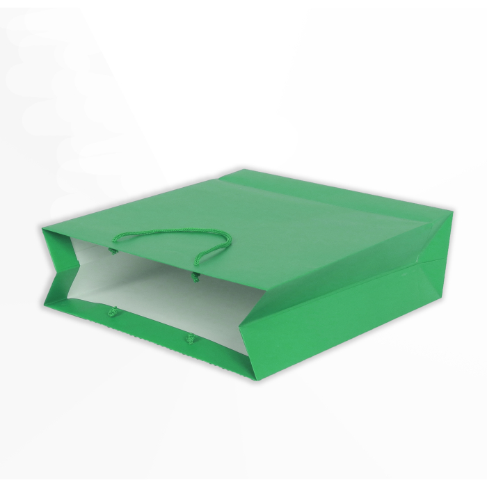 Пакет паперовий подарунковий зелений