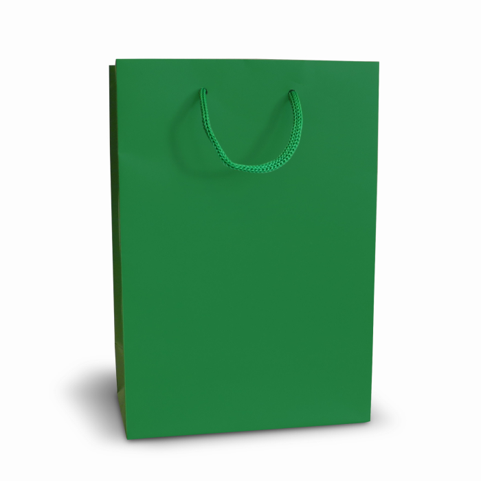 Пакет паперовий подарунковий зелений