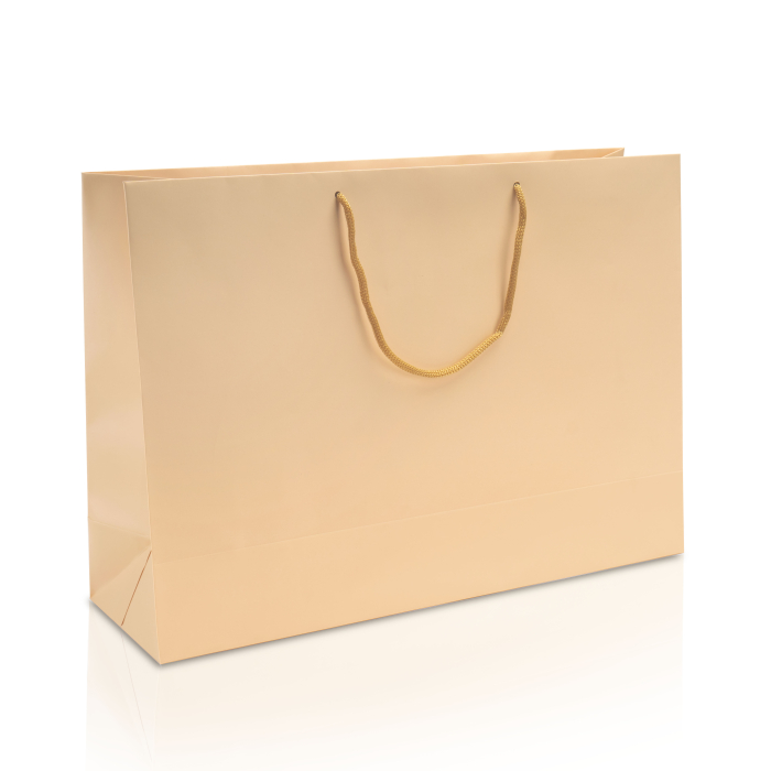 Пакет подарунковий паперовий під великі подарунки